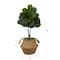 3ft. Artificial Fiddle Leaf Fig Tree With Handmade Cotton & Jute Woven Planter Set DIY Kit